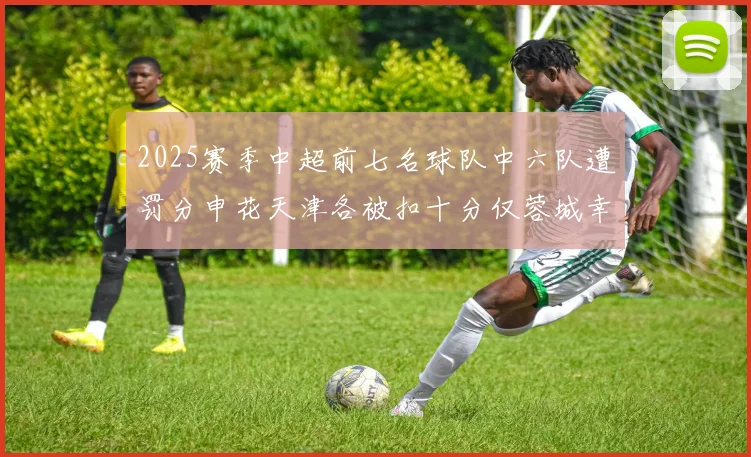 2025赛季中超前七名球队中六队遭罚分申花天津各被扣十分仅蓉城幸免
