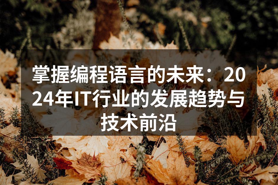 掌握编程语言的未来：2024年IT行业的